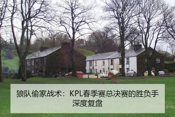 狼队偷家战术：KPL春季赛总决赛的胜负手深度复盘