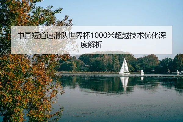 zhong-guo-duan-dao-su-hua-dui-shi-jie-bei-mi-chao-yue-ji-shu-you-hua-shen-du-jie-xi-3-925.jpg