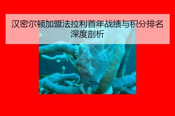 han-mi-er-dun-jia-meng-fa-la-li-shou-nian-zhan-ji-yu-ji-fen-pai-ming-shen-du-pou-xi-2-406.jpg